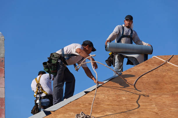 Best Commercial Roofing Services  in Palisade, CO