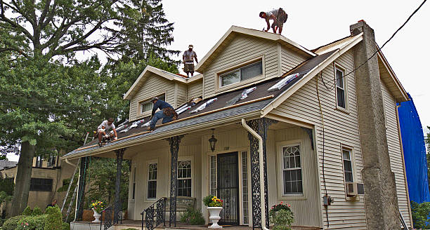 Quick and Trustworthy Emergency Roof Repair Services in Palisade, CO